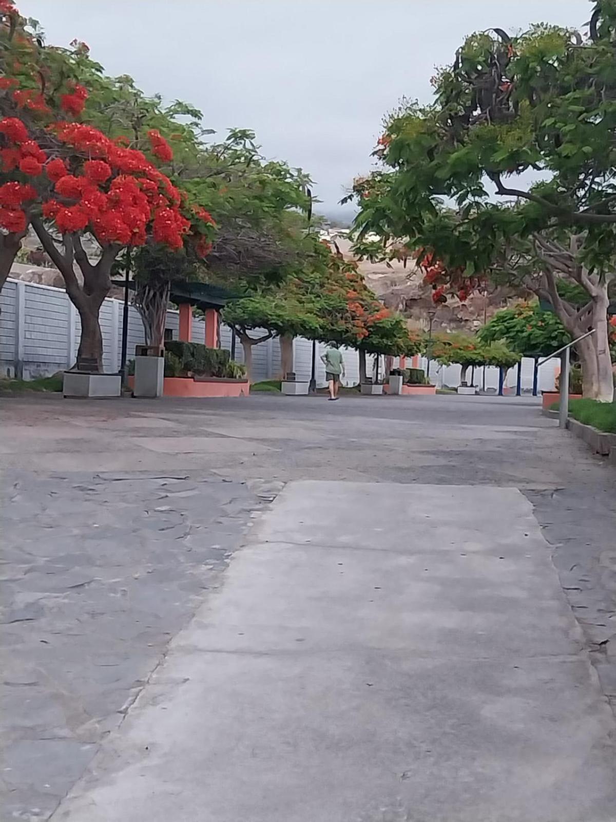 Mi Casita Tenerife Sur Free Wifi E Ac Arona  Eksteriør billede